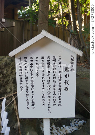 Kemigawa Shrine 84278809