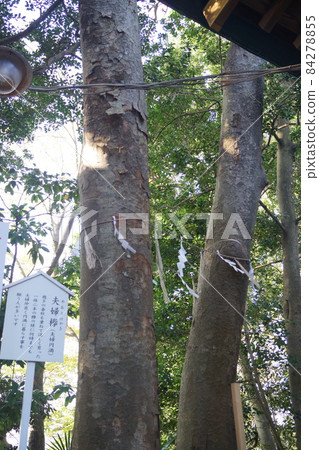 Kemigawa Shrine 84278855
