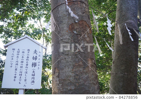 Kemigawa Shrine 84278856