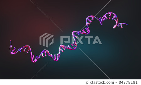 Ribonucleic acid strands consisting of nucleotides - 3d illustration 84279181