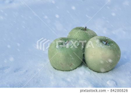 Frozen green apples in the snow during a winter blizzard 84280826