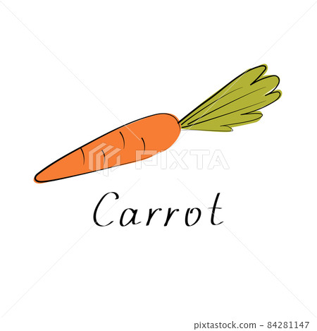 Carrot vector illustration. Vegetable simple sign. Flat 84281147