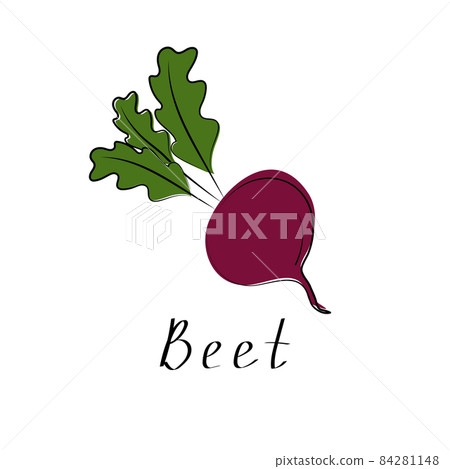 Fresh beet with leaf. Vegetable organic icon. Vector illustration. Isolated white background 84281148