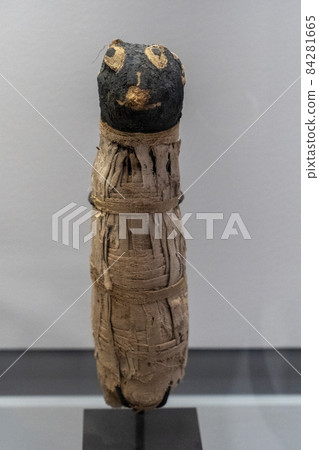 Mummified cat mummy egyptian in a pyramid tomb 84281665