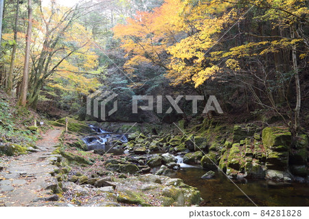 赤目 48 瀑布 / 七瀑布 [三重縣名張市] 84281828