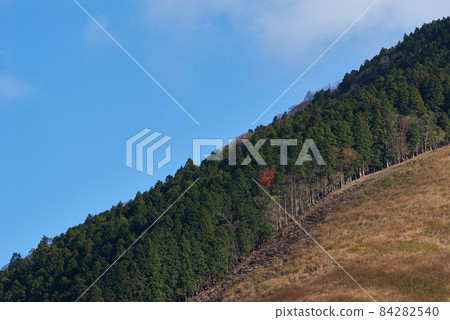 秋季潘帕斯草高原(索尼高原) 秋季潘帕斯草高原(索尼高原) 84282540