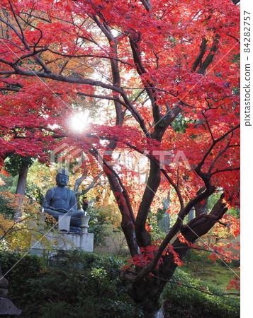 秋葉在京都 84282757