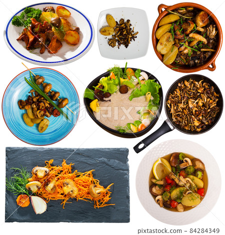 Delicious different dish with mushrooms cooked at clay pots and plates Delicious different dish with mushrooms cooked at clay pots and plates 84284349