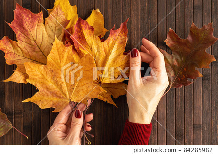 Autumn maple leaves in a woman's hand. Top view, autumn background. Horizontal photo, flatley. 84285982