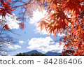 The clear sky, autumn leaves and the tune of light 84286406