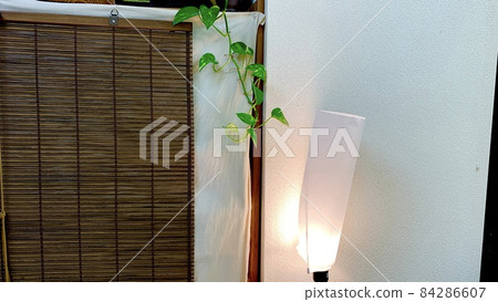 wood wood 84286607