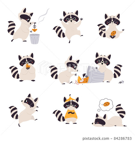 Cute Raccoon Character with Ringed Tail Holding Cookie and Digging in Dustbin Vector Set Cute Raccoon Character with Ringed Tail Holding Cookie and Digging in Dustbin Vector Set 84286783