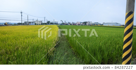 台灣,南部鄉村,綠油油,稻田,台湾、南部の田園地帯、緑の油、田んぼ、rice fields, 台灣,南部鄉村,綠油油,稻田,台湾、南部の田園地帯、緑の油、田んぼ、rice fields, 84287227