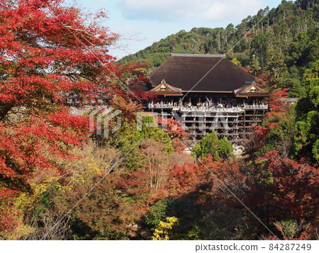 從小安塔看清水寺的秋葉 從小安塔看清水寺的秋葉 84287249