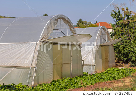 Open Vents Poly Tunnels 84287495