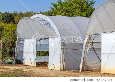 Open Poly Tunnels Open Poly Tunnels 84287843