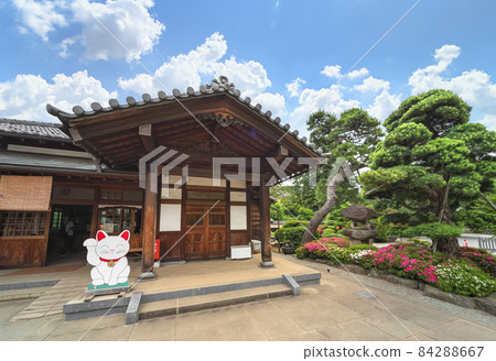 [東京世田谷區] 一隻真人大小的貓板站在招財貓的發源地豪德寺的寺廟辦公室前。 84288667