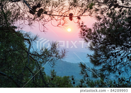 Scenic view of mountains against sky during sunset,through trees . Scenic view of mountains against sky during sunset,through trees . 84289993