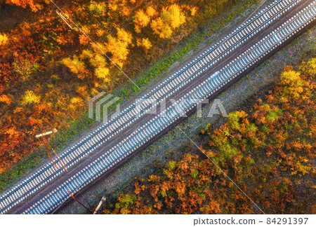 Aerial view of railroad in beautiful forest at sunset in autumn Aerial view of railroad in beautiful forest at sunset in autumn 84291397