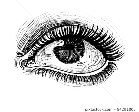 Beautiful female eye. ink black and white drawing Beautiful female eye. ink black and white drawing 84291803