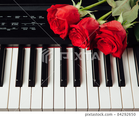 piano keys and red roses piano keys and red roses 84292650