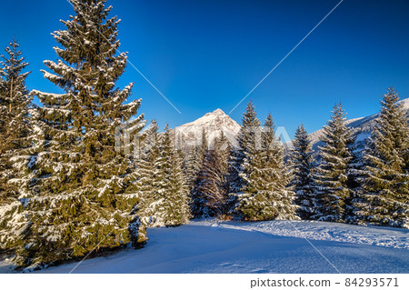Winter mountain snowy landscape at a sunny day. Winter mountain snowy landscape at a sunny day. 84293571