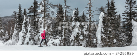 Snowshoeing woman hiking in snow in forest mountain. Winter sport activity on cold outdoor snowshoe trail hiker walking alone on landscape banner 84295989