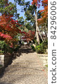 Temple and autumn leaves 84296006