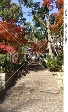 Temple and autumn leaves 84296006