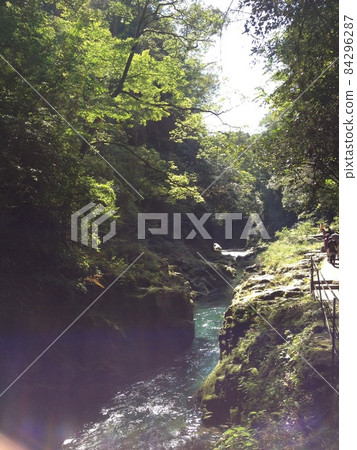 Forest River Forest River 84296287