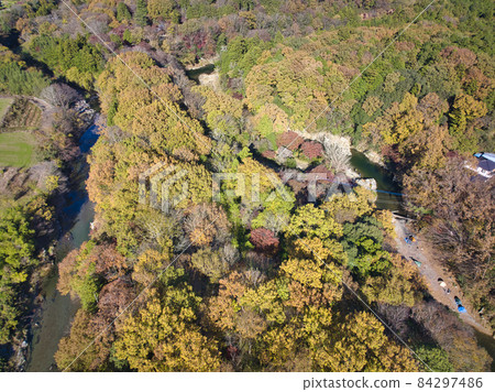 埼玉縣嵐山町嵐山溪谷美麗的秋葉（無人機鳥瞰） 84297486
