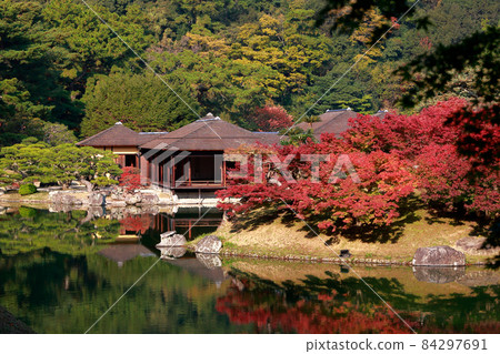 《Kagawa Prefecture》 Ritsurin Garden / Autumn leaves 84297691
