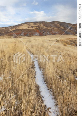 cattle trail in a mountain valley 84298203