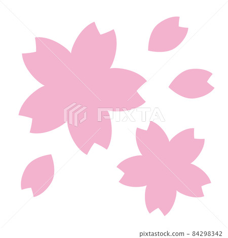 Cherry Blossoms	 84298342