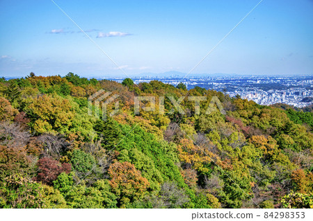 Mt. Takao mountain trail in autumn Mt. Inari course A view from the Azumaya to the downtown area 84298353