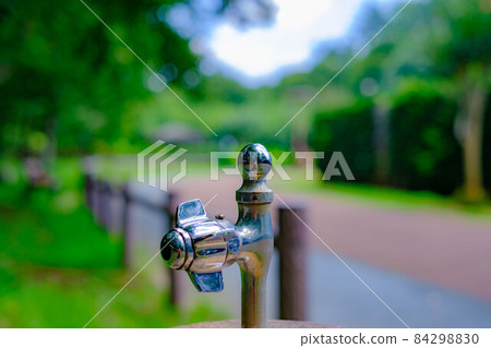 Up drinking water in the park 84298830