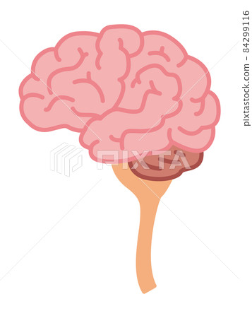 Brain illustration Brain illustration 84299116