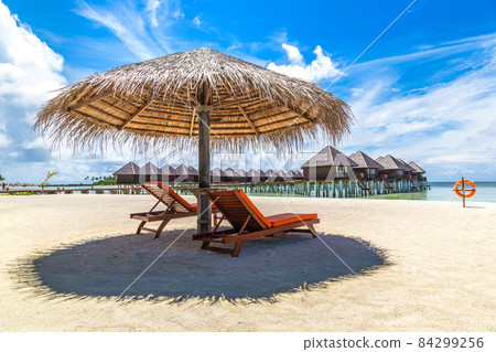 Sunbed and umbrella in the Maldives 84299256