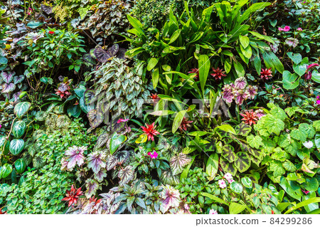 Nature background Nature background 84299286