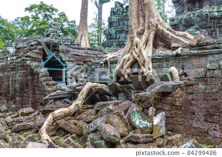 Ta Prohm temple in Angkor Wat 84299486