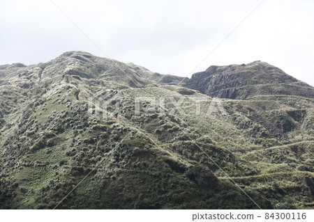 九分鐘 九分鐘 84300116