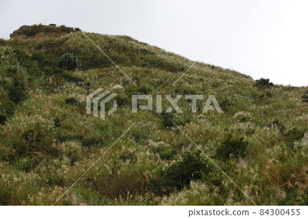 九分鐘 九分鐘 84300455