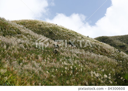 九分鐘 九分鐘 84300608