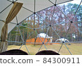 From inside the glamping dome tent 84300911