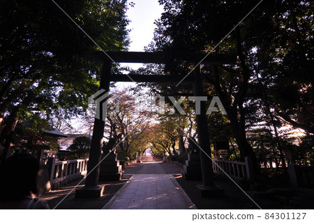 Parents and children visiting shrines 84301127