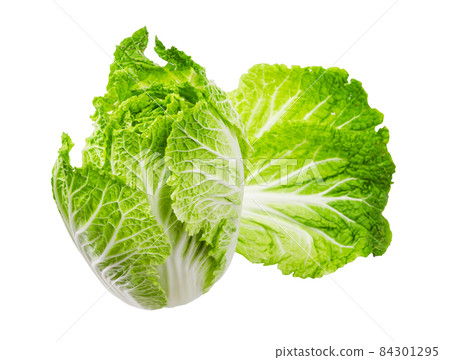 Napa cabbage or chinese cabbage isolated on white background. 84301295