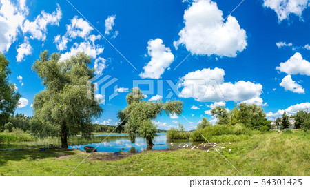 Calm pond and water plants 84301425
