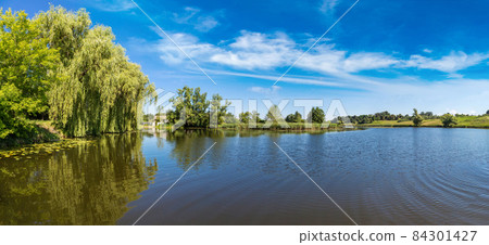 Calm pond and water plants 84301427