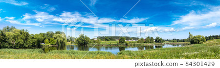 Calm pond and water plants 84301429