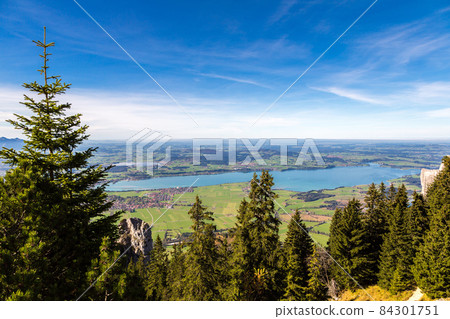 Green fields next to Neuschwanstein Green fields next to Neuschwanstein 84301751